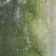 Illustration for article titled An Unintended Effect of Energy-Efficient Buildings: Toxic Mold